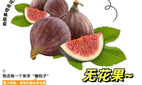 姜黄的功效作用性味归经及禁忌-中药姜黄的功效与作用图片专区_姜黄的功效与作用专区_姜黄的功效与作用图片网