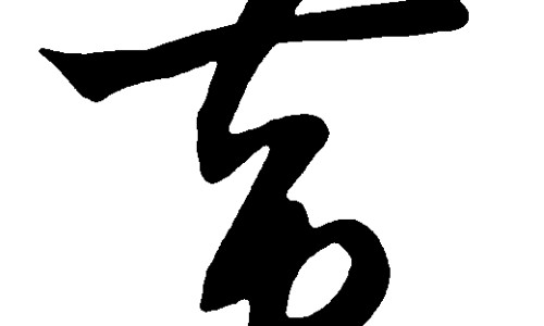 中药姜黄的功效与作用图片专区_姜黄的功效与作用专区_姜黄的功效与作用图片网