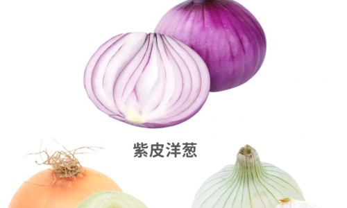 中药姜黄的功效与作用图片专区_姜黄的功效与作用专区_姜黄的功效与作用图片网