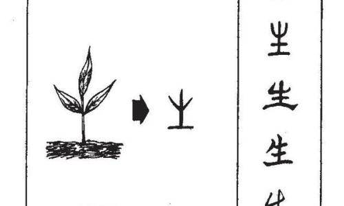 姜黄的功效与作用图片及用量-中药姜黄的功效与作用图片专区_姜黄的功效与作用专区_姜黄的功效与作用图片网