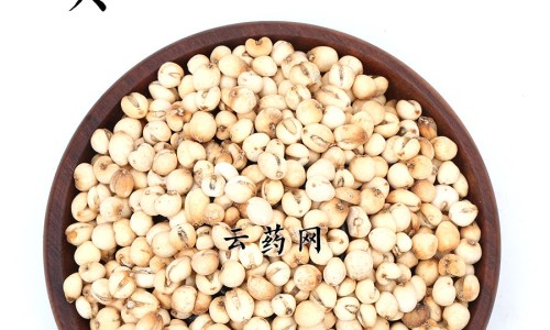 中药姜黄的功效与作用图片专区_姜黄的功效与作用专区_姜黄的功效与作用图片网
