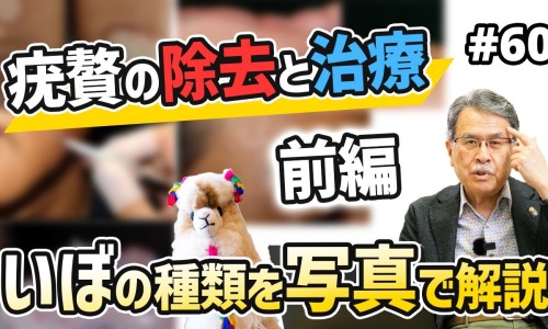 黄姜和姜黄的功效与作用图片-中药姜黄的功效与作用图片专区_姜黄的功效与作用专区_姜黄的功效与作用图片网
